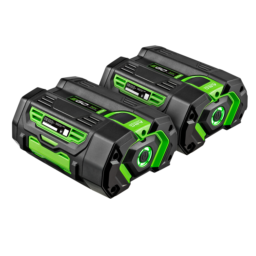Pile Power+ de 5,0 A/h (lot de 2)